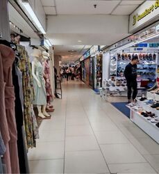 Lucky Plaza (D9), Shop House #548981661